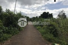 D646 bán đát đẹp buôn culim xã eakao giá chỉ 490 triệu