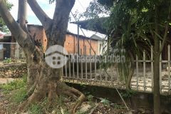 2245m2 đất mộc châu thích hợp làm homestay đón khách du lịch