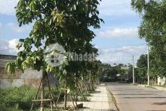 Mua bán nhà đất đông hà quảng trị mới nhất tháng 102021. liên hệ 0846661456