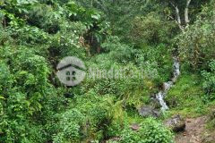 Bán mảnh đất thôn phan cán sử, y tý sapa 2 diện tích 2084m2.