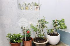 Bán nhà đẹp xây kiên cố đường sông cái xã vĩnh ngọc tp nha trang giá 1.820 tỷ