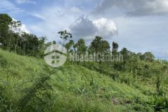 Bán gấp đất hàng gòn sổ hồng riêng giá 800 triệu1000m2