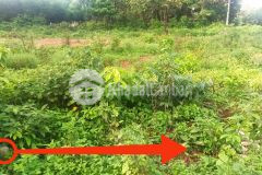 Chính chủ cần bán lô đất đẹp kp8 thị trấn gio linh