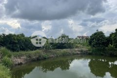 Siêu phẩm quỳnh ngọc, eana, buôn trấp giá 2.4 tỷ