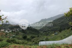 Mảnh đất ql4d thuộc tô2 phường hàm rồng, sapa dt 7000m2