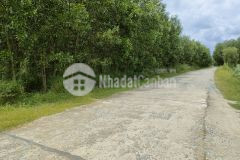 Bán đất thôn 5 diên đồng mặt tiền đường 6m