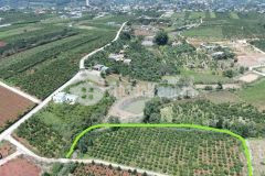 D1039 cần bán gấp lô đất xã gia lâm huyện lâm hà lâm đồng