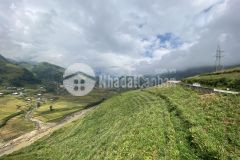 Đầu tư cầu mây sapa hàng hiếm giá đẹp 1395m2, mặt tiền 40m