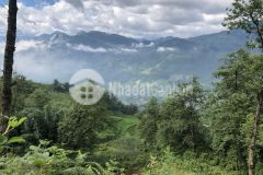 Bán đất view đẹp tại khu du lịch hot nhất sapa, lào cai