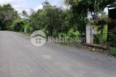 Bán đất giá đầu tư mặt tiền nguyễn trường tộ phường eatam 2,05 tỷ