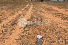 Mùa dịch cần bán gấp lô đất 550 triệu, sổ hồng riêng ngay bên safari. lh tôi có zalo 0919 626 750