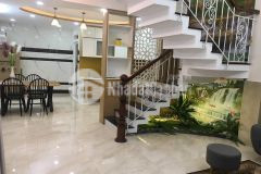 Nhà phố hiện đại ngay lottemart,p.17,gv,hxh,nội thất sang chảnhgiá rẻ.