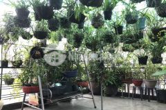 Hot hot hot..bán 2 căn nhà đôi, đường tân hòa đông, q6. mặt tiền 8.76m. xây 5 tầng. giá 9,9 tỷ