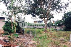 Cần bán gấp lô đất biệt thự hẻm 126 trần phú, view biển 100.