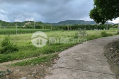 Đất diên phước diện tích lớn lập vườn hoặc đầu tư