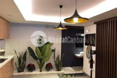 Tân bình giáp quận 10 5 tầng 50m2 hẻm nhựa giá 8,999 tỷ