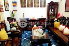 Phân lô vip nguyễn khánh toàn, 45m2x4t, mt khủng, lô góc 2 thoáng, ô tô đỗ cửa, nhỉnh 6 tỷ.