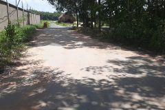 Bán đất phú chánh giá rẻ dt338m2giá chỉ 3,9triệum2