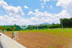 Thích thì mua đất không thích thì mua đất