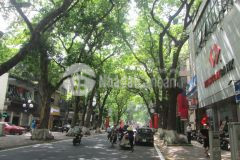 Tôi bán nhà mặt phố phan đình phùng gần phố cổ, gần hồ tây 111m2 chỉ 66.66 tỷ. lh 0989.62.6116