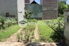 Bán gấp 49m2 đất mt4m ngõ nông ô tô đỗ cửa tương lai mặt phố mai phúc long biên chỉ hơn 2 tỷ.