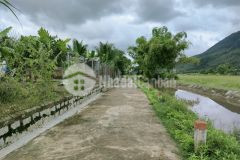 Ruộng diên an quy hoạch thổ cư gần huỳnh thúc kháng đã bán