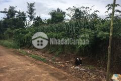 Bán lô đất đẹp đường nhựa xã hòa khánh kinh doanh được