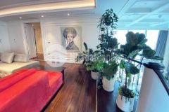 Đất vàng chính chủ tt tân bình đặng văn sâm p.2 tân bình