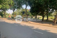 Siêu phâm hô thach ban 60m, 3 tâng, măt tiên 5.6m, gia đâu phu