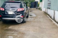 Bán gấp đất đường 36 bến đò linh đông, thủ đức diện tích 81m2 giá 5,6 tỷ