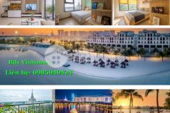 Chỉ từ 250 triệu nhận nhà ở ngay căn hộ vinhomes ocean park