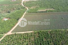 Bán 1023m2 đất kề hồ phúc thọ, huyện lâm hà, lâm đồng. lh0975437425.