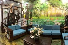 Nhà nguyễn khánh toàncầu giấy đẹp như khách sạn