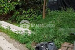 Cần bán đất khu thanh trì 40m2 lô góc mt 4,3m, cách ô tô 10m. 1,3 tỷ.