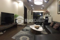 Chính chủ bán nhà đẹp minh khai, hai bà trưng