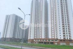 Bán đất dịch vụ khu b yên nghĩa sau mặt đường 24m, 50m2, ô tô, giá đầu tư