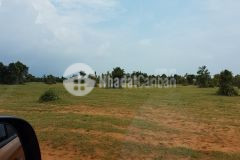 Bán đất nông nghiệp hồng thái mặt tiền đường liên huyện ra sân bay phan thiết lh 0938677909 hiền