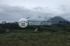 Hơn 3tỷ sở hữu 5040m mặt tiền 60m vị trí đắc địa minh quang ba vì