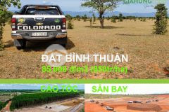 Bán 3 sào đất thuộc diện quy hoạch đất ở đô thị. lh tôi có zalo 0919 626 750