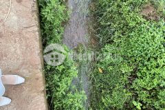 Cần bán 5,444m đất tại bản vặt mộc châu khí hậu quanh năm mát mẻ