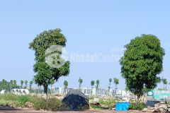 Bán đất sổ đỏ trung tâm huyện thuận thành