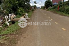 Bán đất gần 200m mặt tiền đường nhựa liên xã tại thôn 7, tân lâm, có sẵn 400m thổ cư, giá rẻ nhất