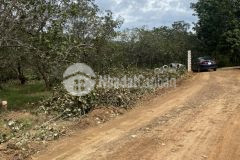 Bán đất kcn tân hưng hớn quản bình phươc