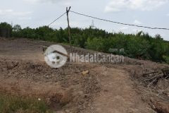 Chính chủ bán gấp 3 lô đất đẹp mặt tiền tại xã an thới đông huyện cần giờ