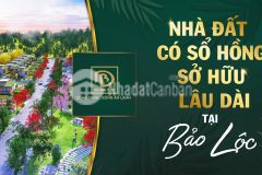 Đất tôn thất thuyết, lâm đồng diện tích 179m2 giá 1ty590