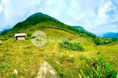 Bán nhanh mảnh đất 7.000m2 tại sử pán sapa thích hợp làm homestayfarmstay