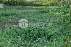 Bán đất 180m2 kqh vinh vệ tỉnh lộ 10 gần nhà hàng duyên anh