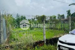 Chủ cần tiền trả ngân hàng bán 2 lô đất tịnh ấn tây liền kề giá rẻ gần 300m2