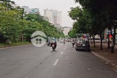 Bán toà vp mp nguyễn hoàng, kd, vp, 80m2, 7tầng, thoả thuận