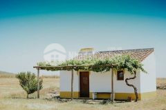 12,000m2 mặt tiền liên huyện rộng 15m ở xã hòa thắng, sát biển giá chỉ 200km2, shr